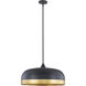 Amarra 4 Light 22 inch Matte Black Indoor Pendant Ceiling Light